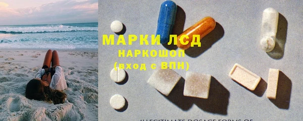 эйфоретик Алзамай