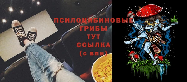 эйфоретик Алзамай