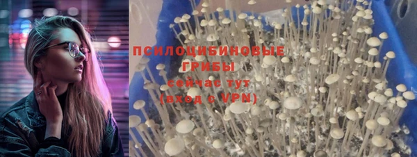 mdma Медвежьегорск