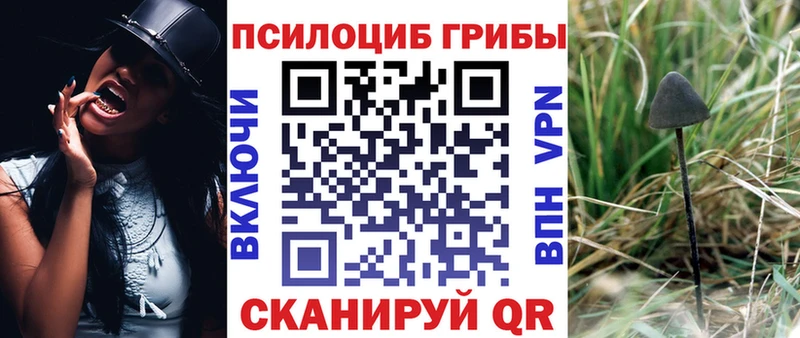 Псилоцибиновые грибы Psilocybine cubensis Раменское